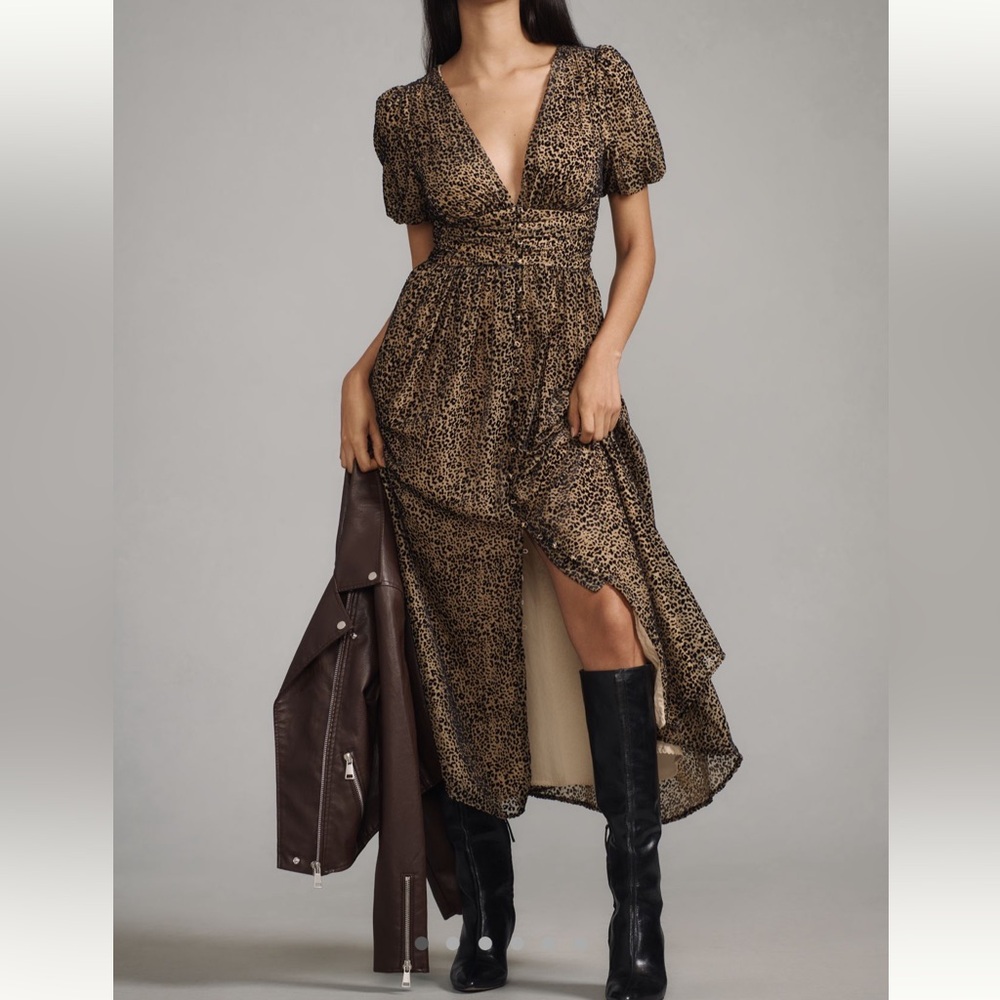NWT Anthropologie Katerina Button Front Dress